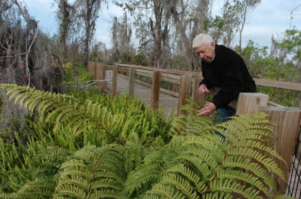 Feb. 4, 2005 - On Saturday (Feb. 19, 2005), 10 Rotary Clubs will break ground for an education center at the 128-acre Oakland Nature Preserve off State Road 50 between Clermont and Winter Garden. The preserve's president, Jim Thomas who's also founder of the Friends of Lake Apopka and head of Biosphere Consulting, along with other environmentalists hope to introduce visitors to a living history of lake preservation and an environment with 80 varieties of restored navtive plants, 87 species of birds, gopher tortoises, coyotes, rabbits, racoons, possums and bobcats. The Rotary Environmental Education Center will include a free-standing office building and a classroom and museum building, both in old cracker style. Participating Rotaries are Windermere, West Orange, Apopka, Ocoee, Winter Garden, Lake Buena Vista, Maitland, South Lake, Orlando, South and Southwest Orlando.