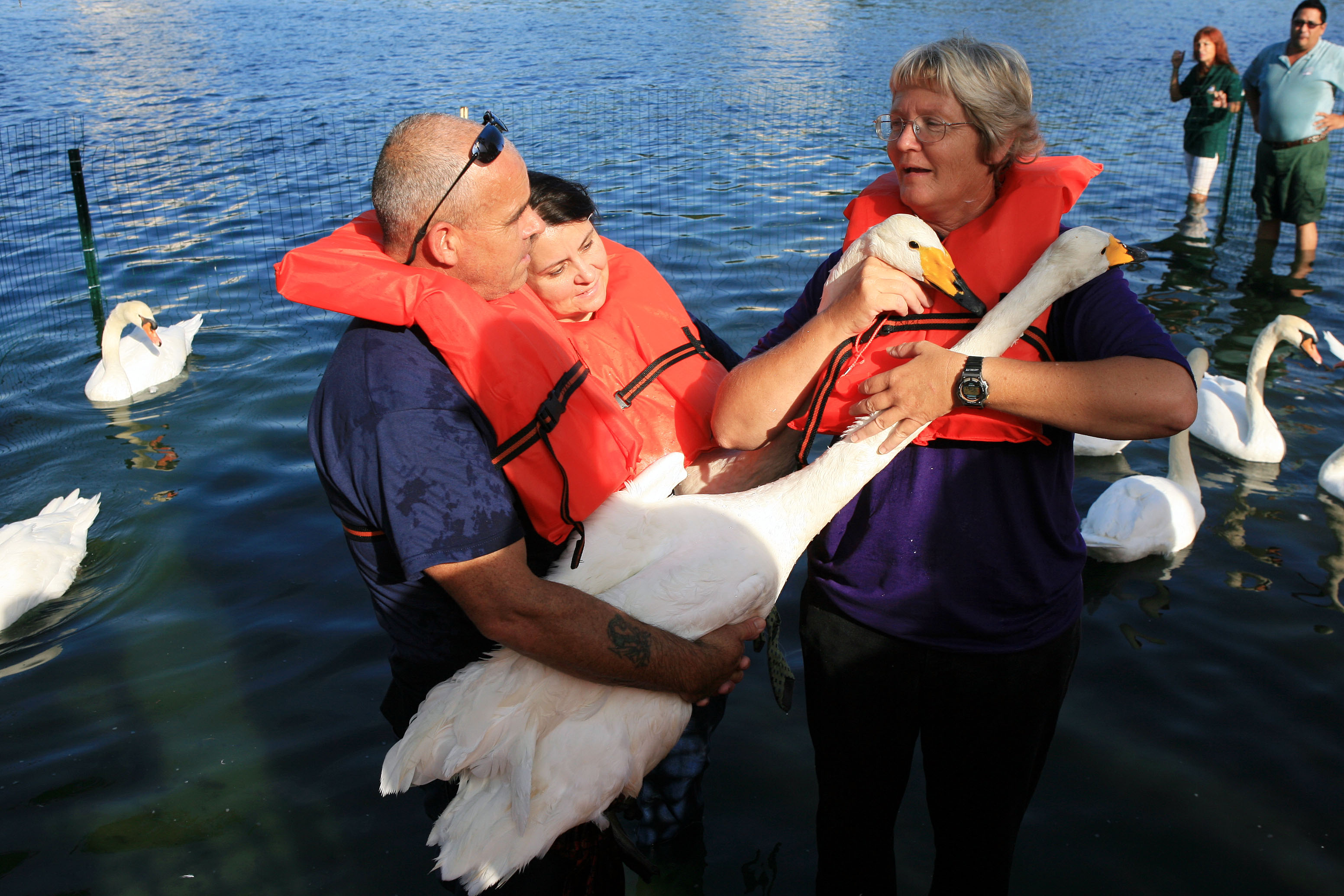 From left, Steve and Wendy Hermon of England's Swan Lifeline...