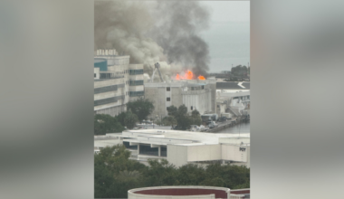 2-alarm fire erupts at commercial building on USF St. Petersburg campus: SPFR