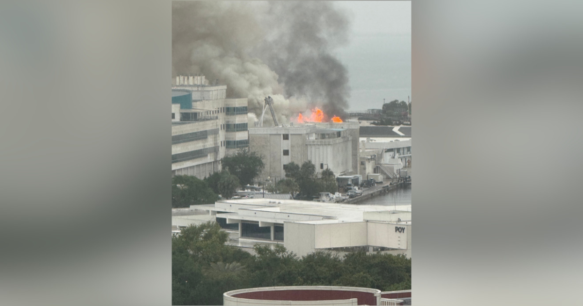 2-alarm fire erupts at commercial building on USF St. Petersburg campus: SPFR