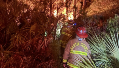 Dense vegetation fuels early morning brush fire