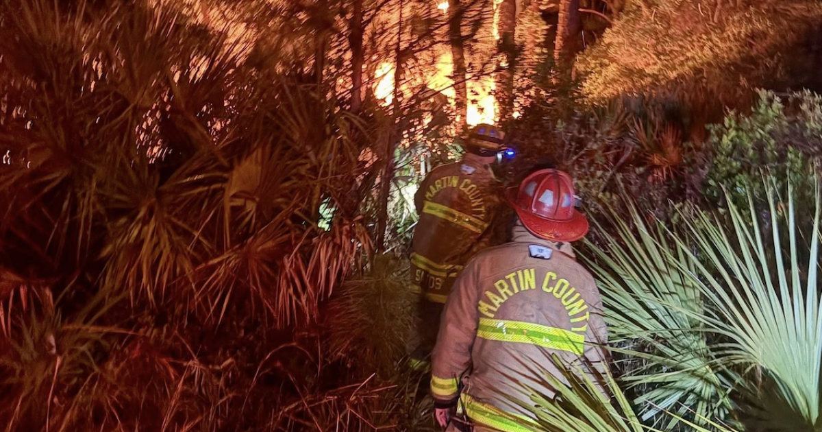 Dense vegetation fuels early morning brush fire