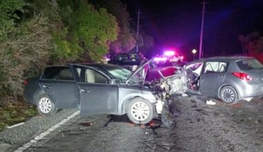 St. Pete man arrested in fatal Hillsborough hit-and-run: FHP