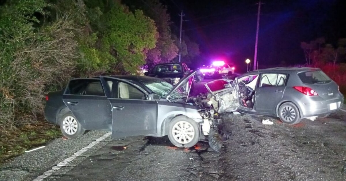 St. Pete man arrested in fatal Hillsborough hit-and-run: FHP