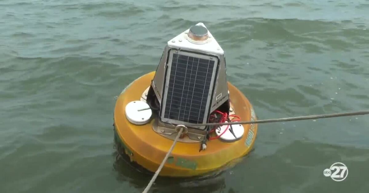 FAMU's Rattler Moji buoy gives Crawfordville oyster farmers real-time data