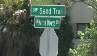 2 arrested after road rage shooting