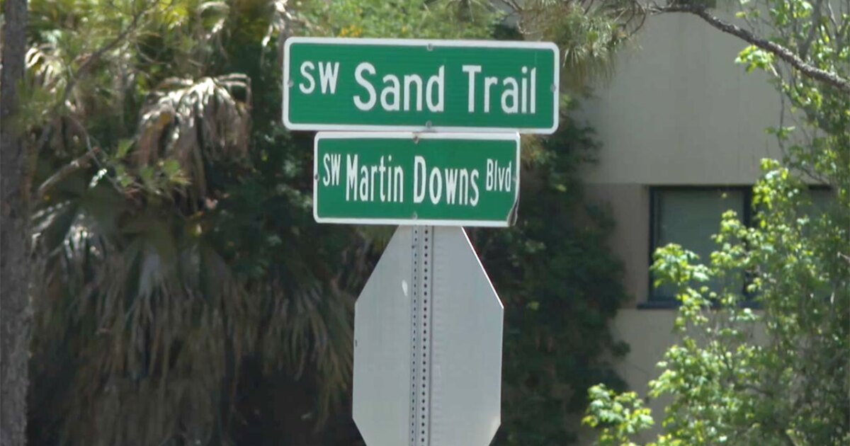 2 arrested after road rage shooting