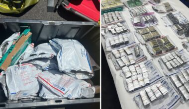 Traffic stop on I-95 leads to seizure of 31,000 pills