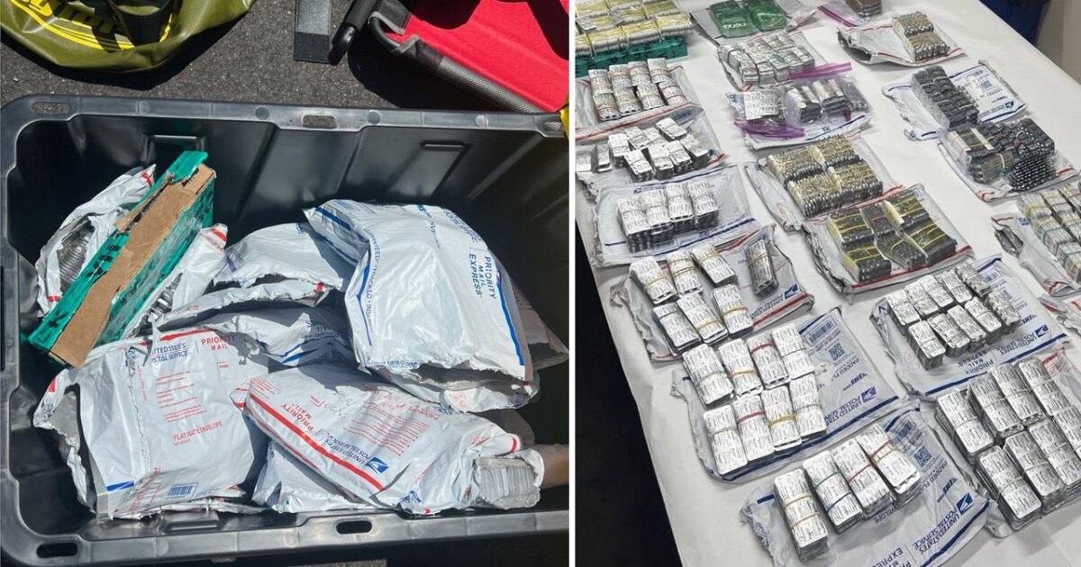 Traffic stop on I-95 leads to seizure of 31,000 pills