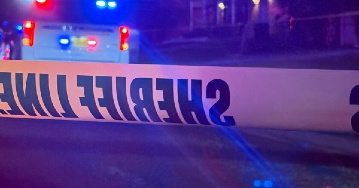 Man shot, killed in Bloomingdale community: HCSO