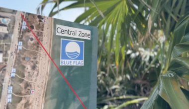 These 2 South Florida beaches are flying Blue Flags for environmental excellence