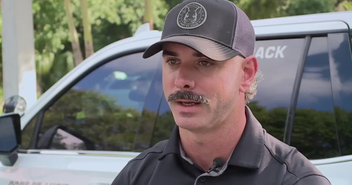 'It's an honor': Officer nominated for LEO Award after rescuing stranded woman