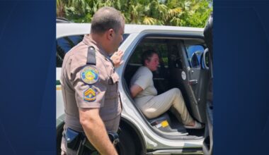 Woman pleads guilty in fatal 10-Cent Bridge hit-and-run