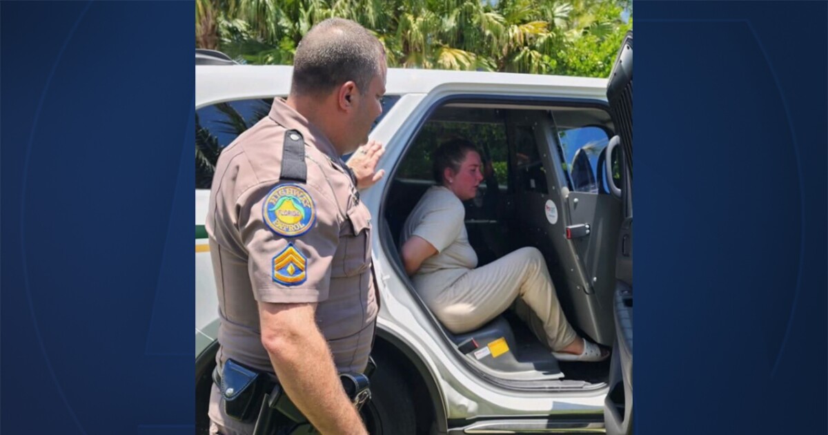 Woman pleads guilty in fatal 10-Cent Bridge hit-and-run