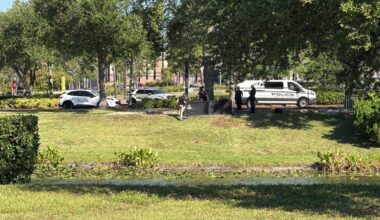 Death investigation after body pulled from retention pond: Tampa police