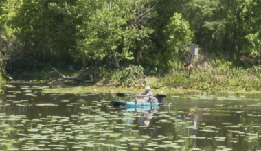 Florida Wildlife Federation celebrating 90 years in annual photo contest