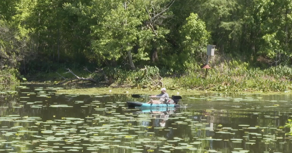 Florida Wildlife Federation celebrating 90 years in annual photo contest