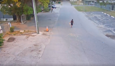 Florida woman faces aggravated animal cruelty charges after throwing dog: HCSO