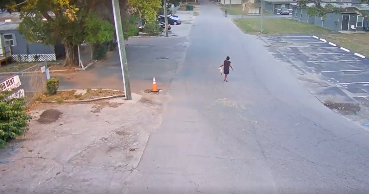Florida woman faces aggravated animal cruelty charges after throwing dog: HCSO