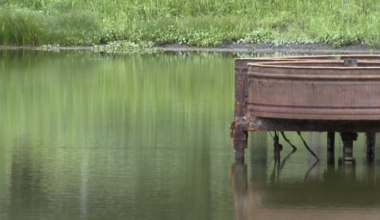 Recent rainfall bringing drought relief across the area