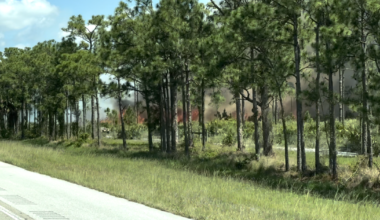 225-acre controlled burn underway in Hobe Sound near I-95