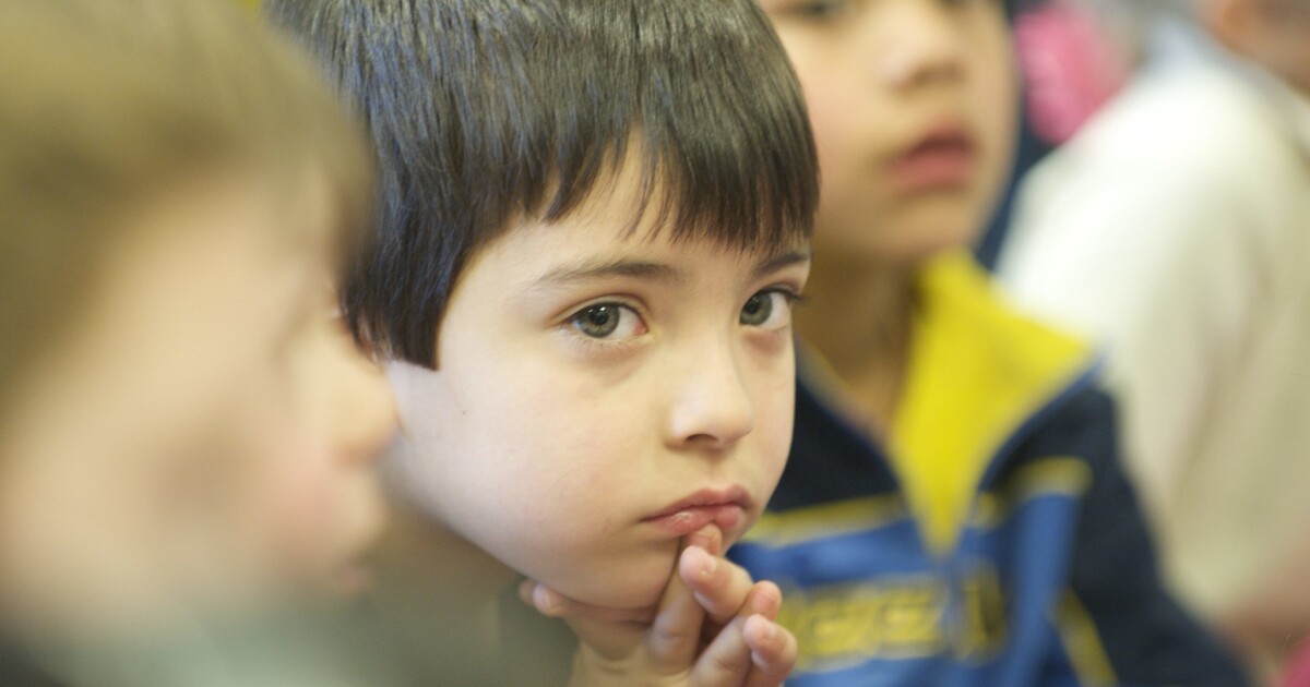 Sarasota school tax fight reaches Tallahassee as lawmakers propose fix | WGCU News