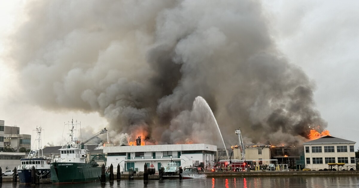 How the fundraising to revive the charred USF Marine Lab