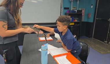 IMAG's hands-on program gives students new opportunities for after school | WGCU News