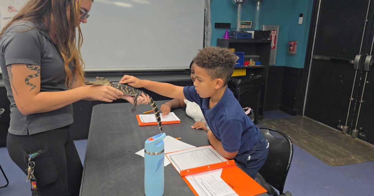 IMAG's hands-on program gives students new opportunities for after school | WGCU News
