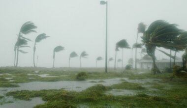 Lee County official shares insight from Ian at annual Governor's Hurricane Conference | WGCU News