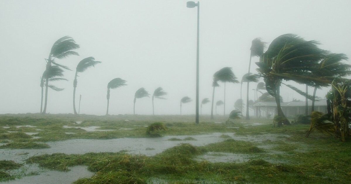 Lee County official shares insight from Ian at annual Governor's Hurricane Conference | WGCU News