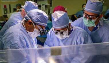 Tampa General Hospital performs 15,000th organ transplant