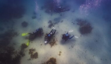 Black divers honor history at Florida site of sunken slave ship