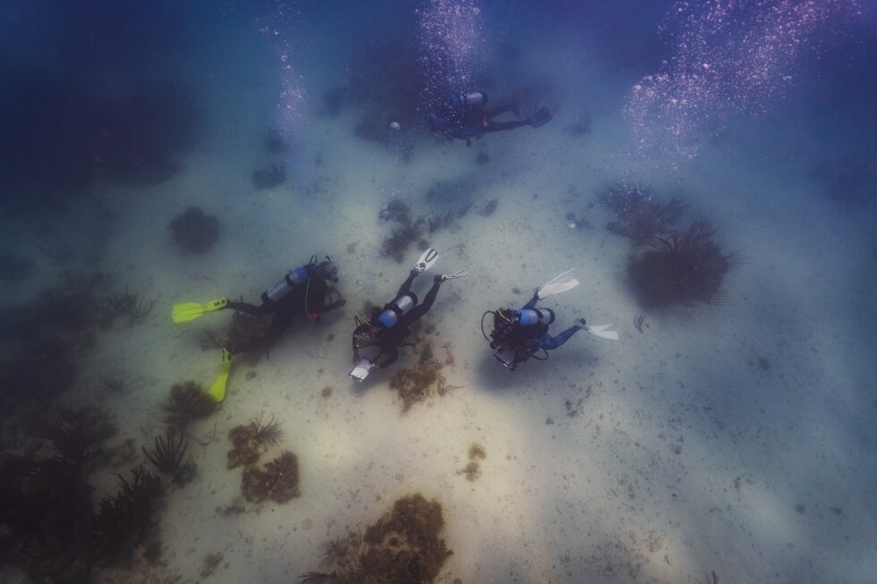Black divers honor history at Florida site of sunken slave ship