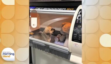 Humane Society of Tampa Bay Gets Expanded NICU