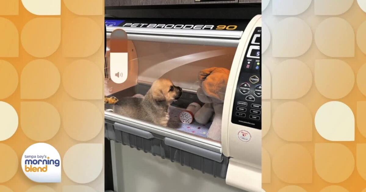 Humane Society of Tampa Bay Gets Expanded NICU
