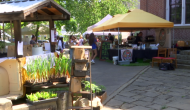 Jacksonville Sunday Market kicks off its 2026 season