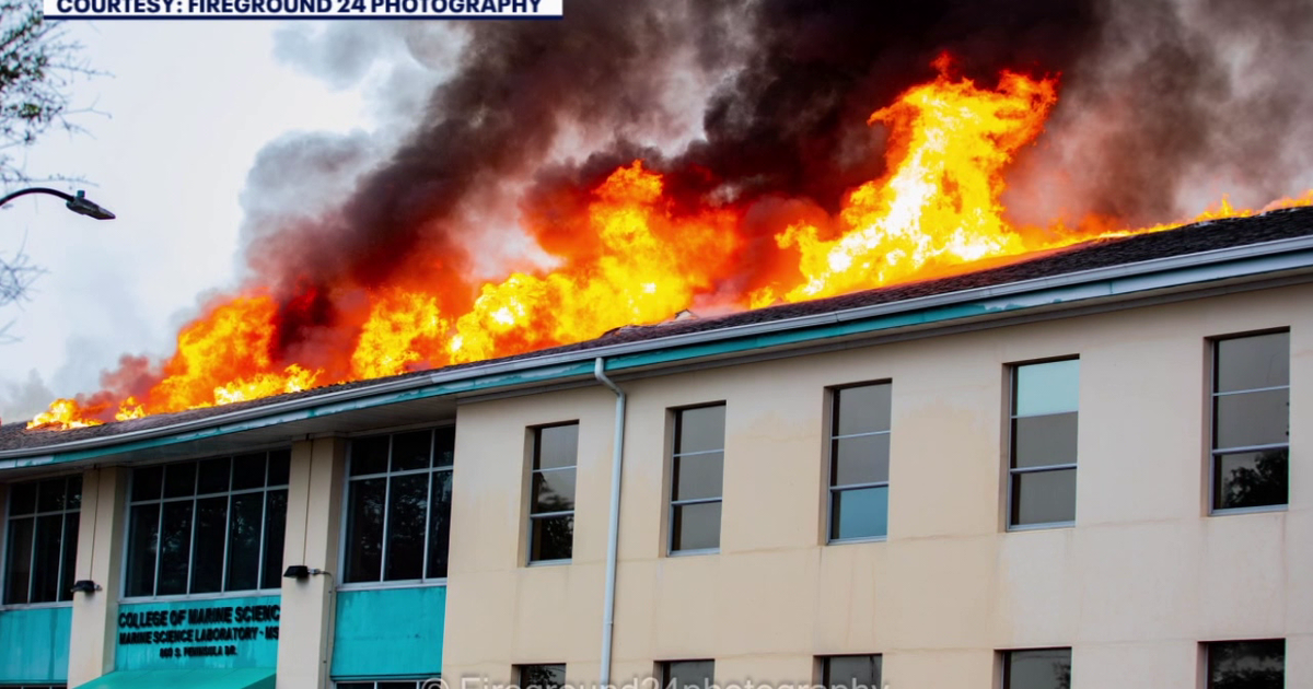 Lightning strike likely sparked massive fire that destroyed USF St. Pete marine science lab, officials say