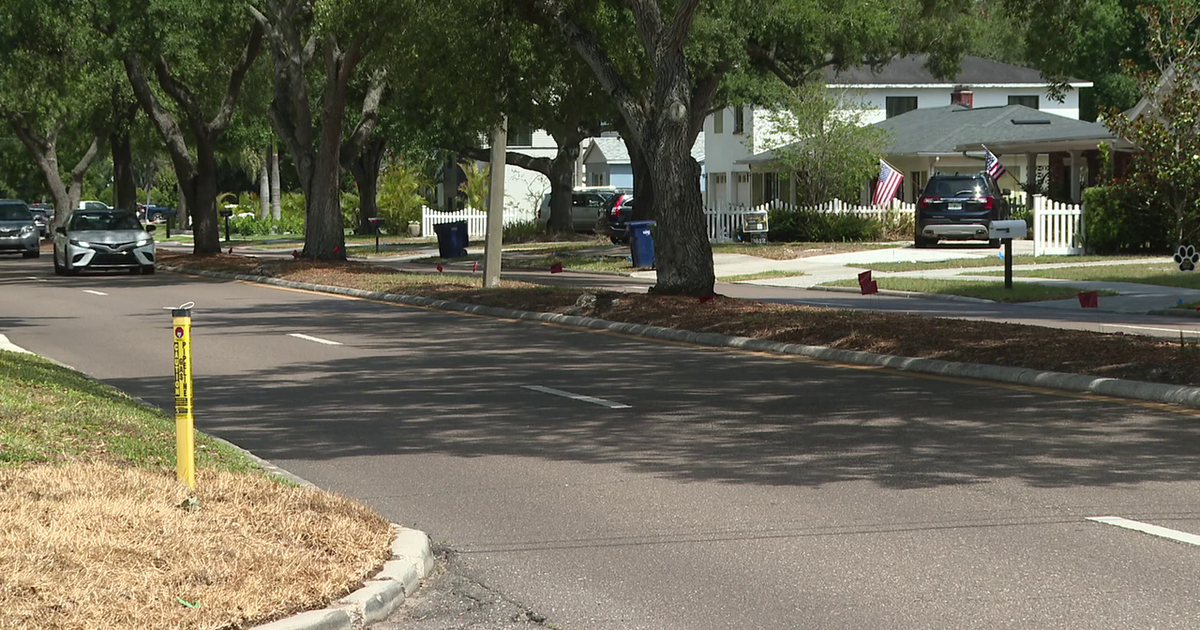 South Tampa neighbors welcome long-awaited safety upgrades along El Prado Boulevard