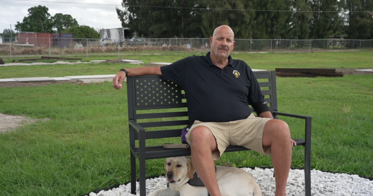 Hillsborough County nonprofit helps veterans heal with service dogs: 'It will change your life'