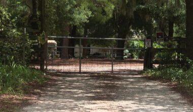 Pit bull to be euthanized after attacking Winter Haven foster mom