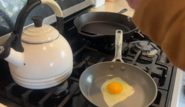 USF researchers weigh in on study linking egg consumption to reduced Alzheimer's risk