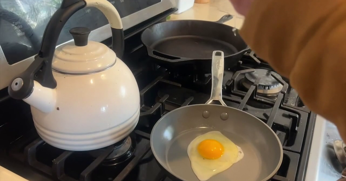 USF researchers weigh in on study linking egg consumption to reduced Alzheimer's risk