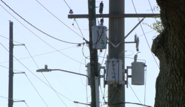 Tampa Electric warns of scammers using AI, fake websites to target utility customers