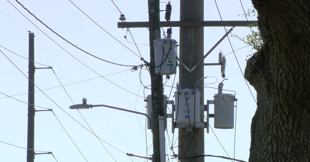 Tampa Electric warns of scammers using AI, fake websites to target utility customers