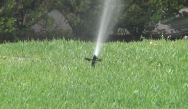 Tampa issues hundreds of watering fines for violations during historic drought: Here are ways to save water