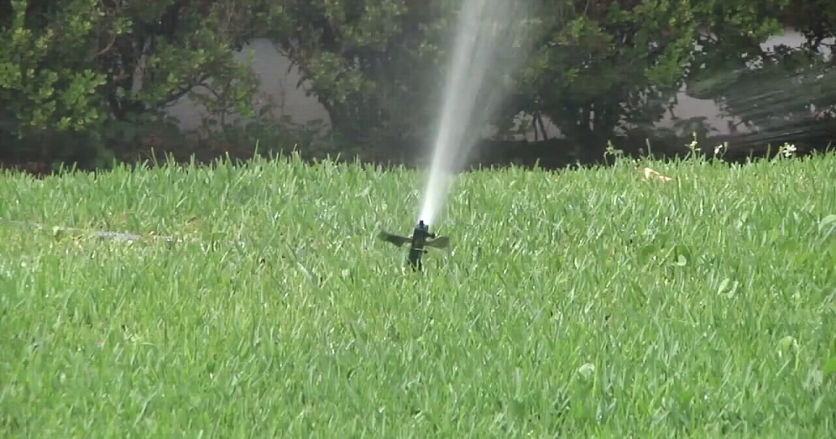 Tampa issues hundreds of watering fines for violations during historic drought: Here are ways to save water