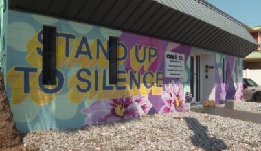 Florida strengthens domestic violence laws with new abuser tracking, discreet 911 systems