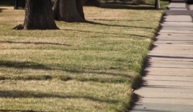 Fertilizer bans in effect beginning in June across Tampa Bay Area