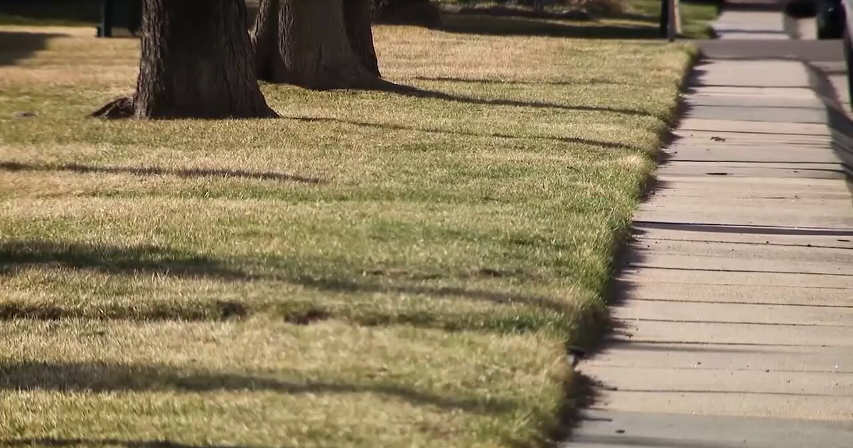 Fertilizer bans in effect beginning in June across Tampa Bay Area